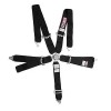 DT3racing Seatbelt 5 points Black