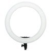 LED RING LIGHT - COM DIFUSORES BRANCO E AMARELO - 256LEDS - 5200LUX - 48,5CM DIAMETRO